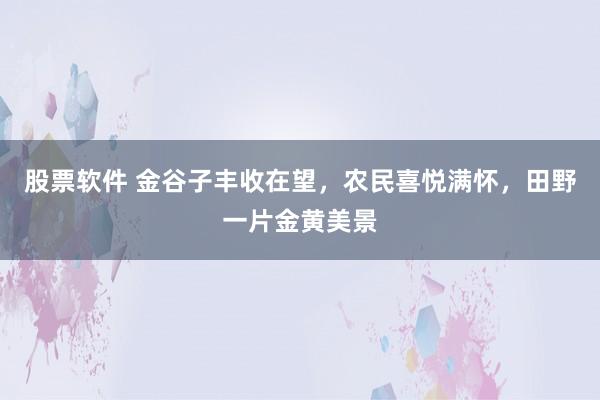 股票软件 金谷子丰收在望，农民喜悦满怀，田野一片金黄美景