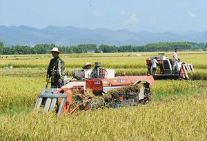 让新闻离你更近