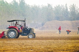 秋播大地正当时