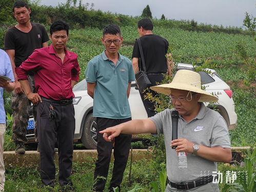 全国模范教师张富贵 潜心农机科研,改变贵州 无机可用 现象